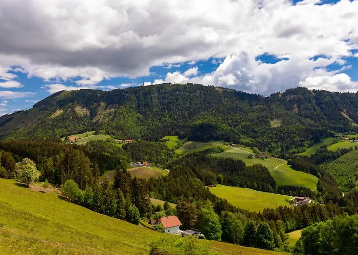 Der Trattner - Hotel Schoecklblick