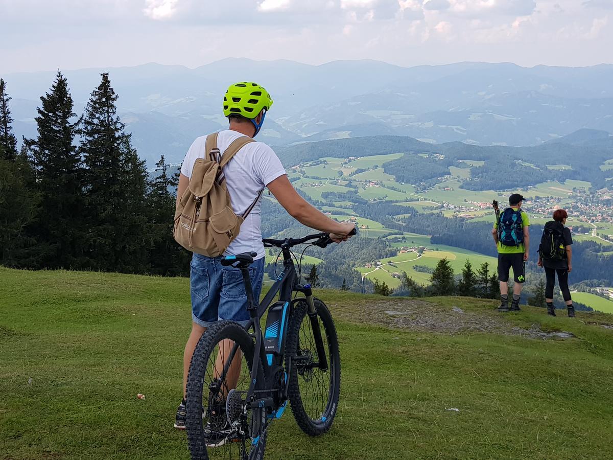 Hotel Der Trattner - Schocklblick 3*