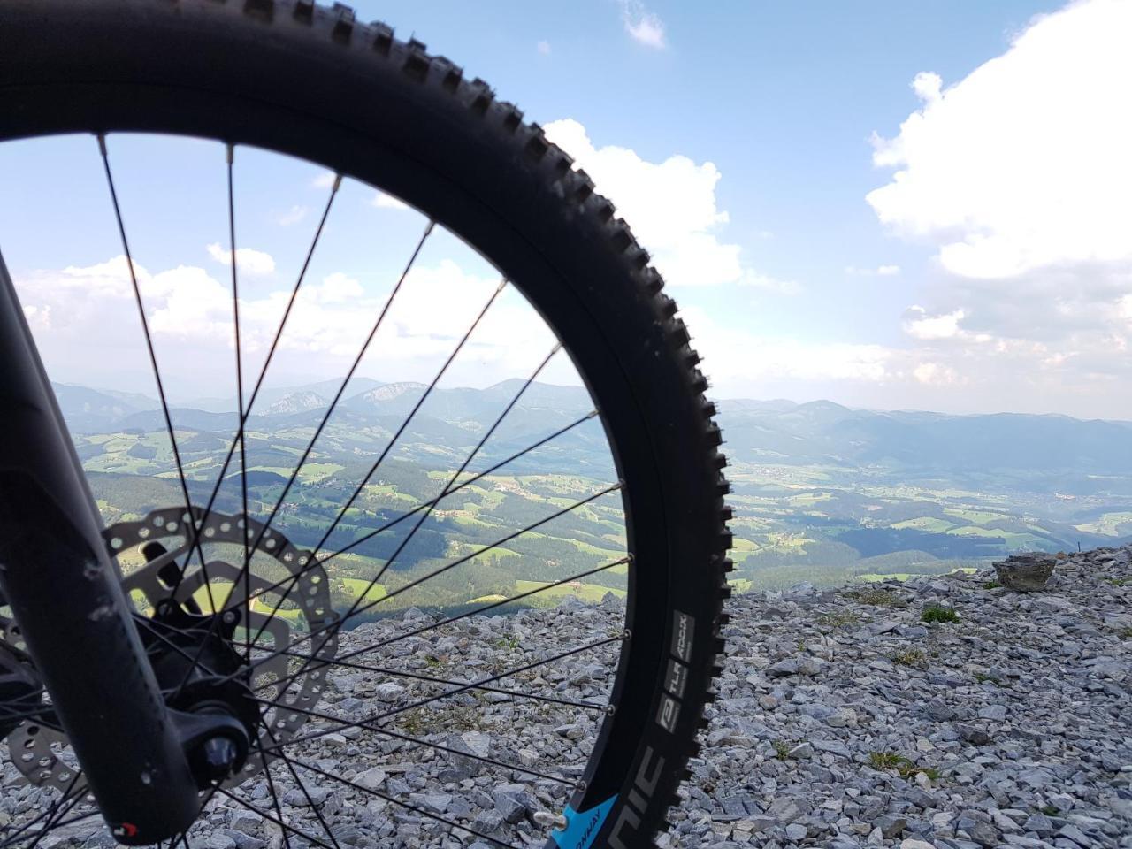 Der Trattner - Schocklblick